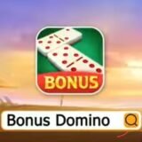 وكيل شحن دمينو Bonus Domino